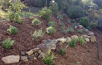 James Bell Gardens - 4