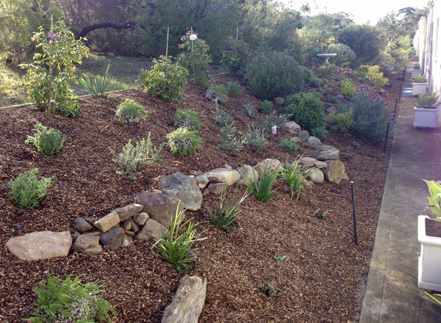 Garden Revamp - After