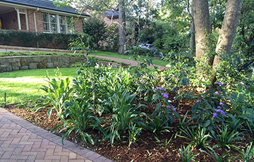 James Bell Gardens - 6