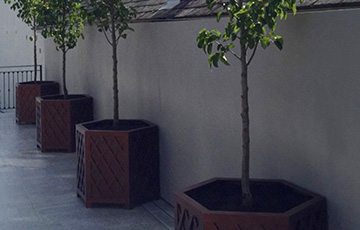 James Bell Gardens - 8