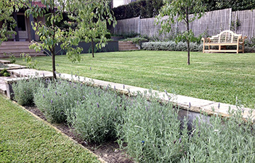 James Bell Gardens - Maintenance 1